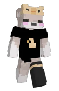 Front of TheFoxify_'s skin