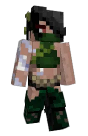 Skin preview