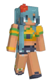 Skin preview