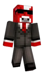 Skyzeeh's Minecraft skin wearing the Migrator cape