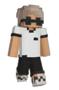 AprinixPheonixMC