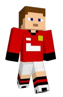 wing1228's Minecraft skin