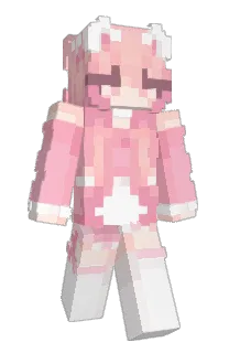 Front of _tomer_'s skin