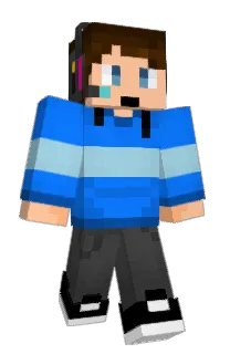 Front of ICNIV's skin