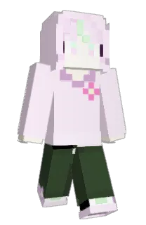 jang2445's Minecraft skin