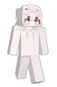 pochaccooo