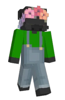Front of Pig1225's skin
