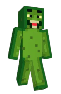 Front of piqqle's skin