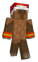 Minecraft skin — Classic model