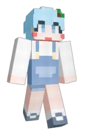 Skin preview