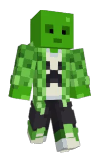 Front of Minecraft skin