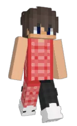 tacao and punch Minecraft skin — Slim model — first worn by JujuRexx