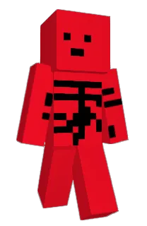 Front of chisk's skin