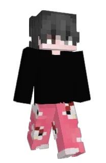 Front of vailan's skin