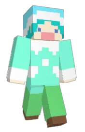 Skin preview