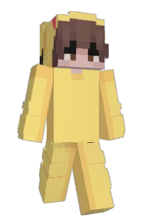 Front of NotBridgey's skin
