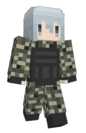 Skin preview
