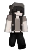 ameiis