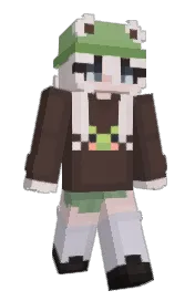 Skin preview