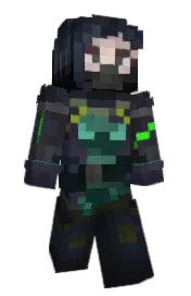 Skin preview
