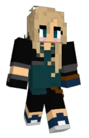 Skin preview