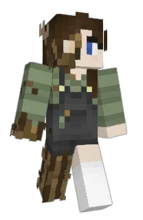 Front of Ply_wood's skin