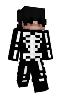 Front of C8G's skin