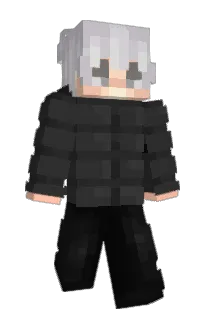 Front of pracastop's skin