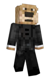 Front of Minecraft skin