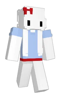 Front of hpwp's skin