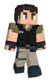 Skin preview