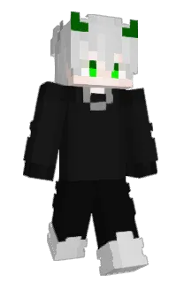 Front of PCGAMERLL's skin