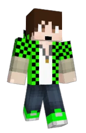 Skin preview