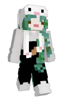 Front of Karus27's skin
