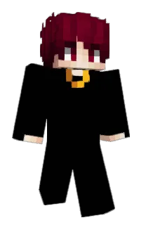 Front of ImTache's skin