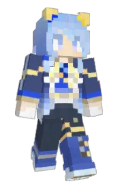 Skin preview