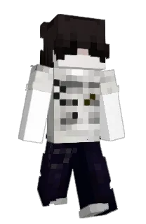 Front of poemat's skin