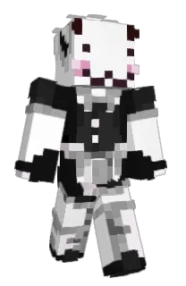Front of enananki's skin