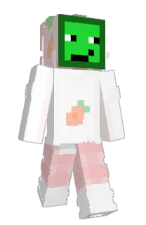 Front of Minecraft skin