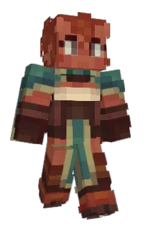 Front of Samwych's skin