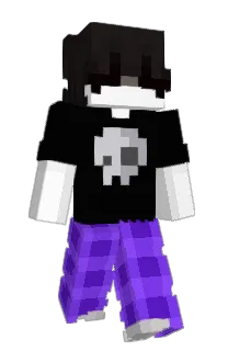 Front of Tvvz's skin