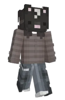 Front of skunk___'s skin
