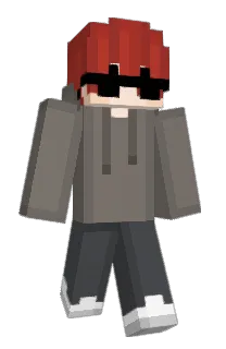 Front of EDIUS's skin