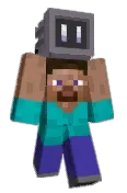 SlaneN