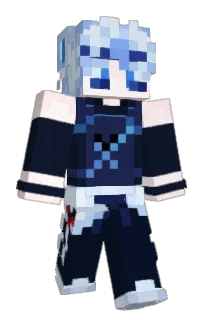 Front of FIDIPI's skin
