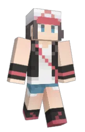 Skin preview