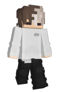 Wafeleek88's Minecraft skin