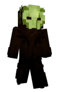 Front of Roxles's skin