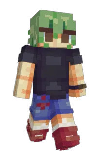 Front of harvehst's skin
