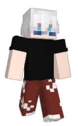Classic Minecraft skin
